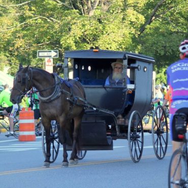 Amish country bike featured picture
