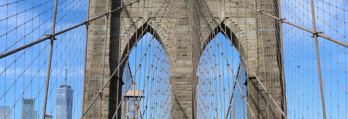 Highlights of Brooklyn Bridge Walking Tour - Unlimited Biking