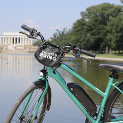 Monumental Electric Bike Tour