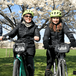 Cherry Blossoms by Bike Tour