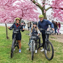 Cherry Blossoms by Bike Tour
