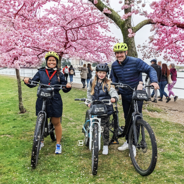 Cherry Blossom by Bike