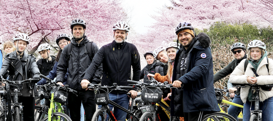 Cherry Blossoms Bike Tour DC