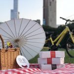 Central Park Picnic & Full Day Bike Rental 1